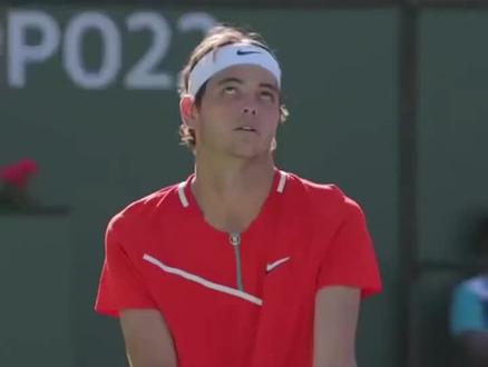 引擎的排名 引擎的排名