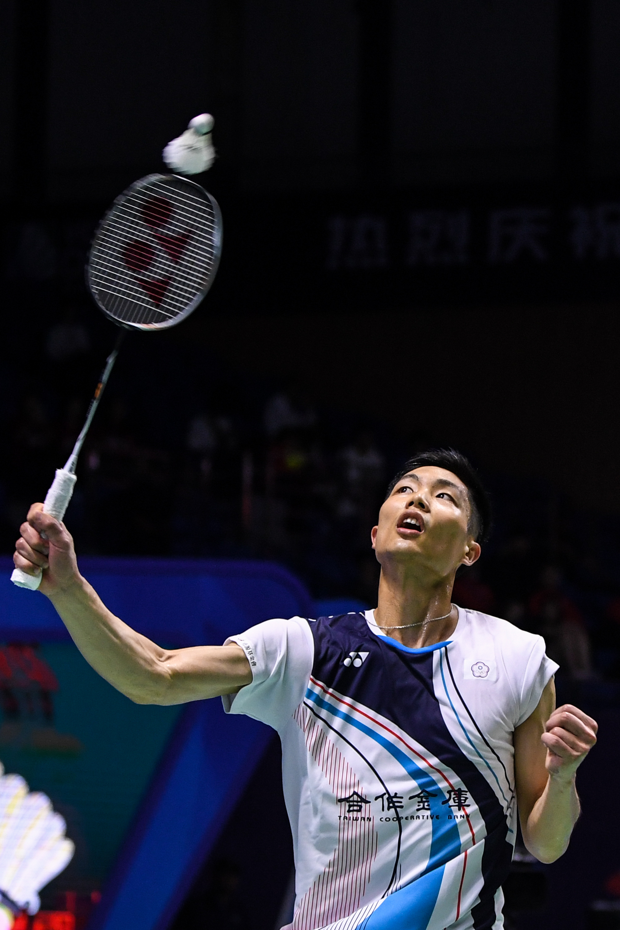 与野辅联动 与野辅联动